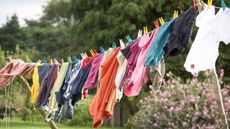 Multicolored clothes hanging on a domestic backyard washing line on a windy day, hung by multicolored pegs - for article on how to remove mildew from clothes