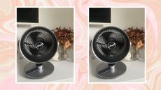 Dreo Smart Fan on dresser with flowers x 2, on pink swirly background