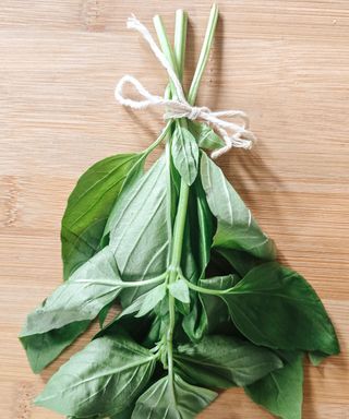 A bunch of fresh basil tied together with white twine, on top of a wooden chopping board