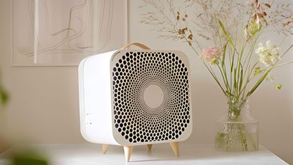 A white, square Blueair fan with tan strap, set upon a white table with wild flowers