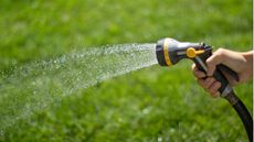 Watering lawn with hose