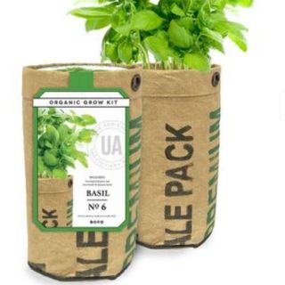 basil grow bag