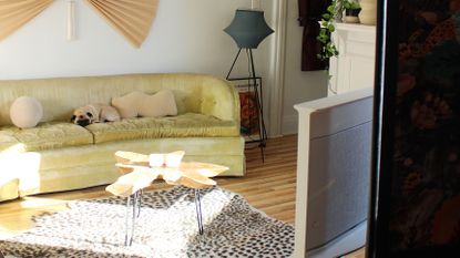 Apartment living room with green couch and pug sitting on top